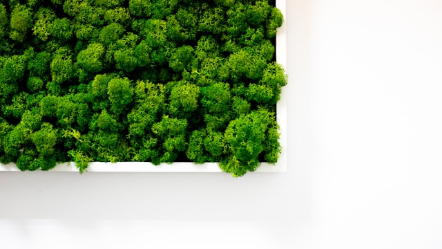 green homes